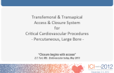 Transfemoral and Transapical Access and Clsure System for Critical Cardiovascular Procedures