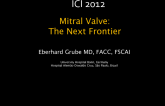 Mitral Valve: The Next Frontier