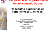 Endovascular Approaches to Acute Ischemic Stroke