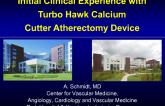 Initial Clinical Experience with Turbo Hawk Calcium Cutter Atherectomy Device
