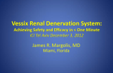 Vessix Renal Denervation System: Achieving Safety and Efficacy in Less Than One Minute