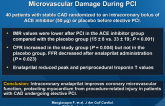 ProMicro: Intracoronary Enalaprilat to Reduce Microvascular Damage During PCI