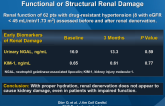 Renal Sympathetic Denervation Does Not Aggravate Functional or Structural Renal Damage