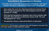 Ticagrelor Enhances Adenosine-Induced Coronary Vasodilatory Responses in Humans