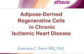 Adipose-Derived Regenerative Cells in Chronic Ischemic Heart Disease