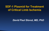 SDF-1 Plasmid for Treatment of Critical Limb Ischemia