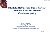 REVIVE: Retrograde Bone Marrow-Derived Cells for Dilated Cardiomyopathy