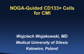 NOGA-Guided CD133+ Cells for CMI