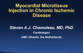 Myocardial Microtissue Injection in Chronic Ischemic Disease