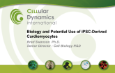 Biology and Potential Use of iPSC-Derived Cardiomyocytes