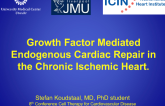Growth Factor Mediated Endogenous Cardiac Repair in the Chronic Ischemic Heart.