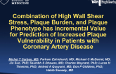 Combination of High Wall Shear Stress, Plaque Burden, and Plaque Phenotype has Incremental Value for Prediction of Increased Plaque Vulnerability in Patients with Coronary Arter...