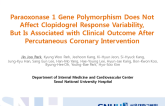 Paraoxonase 1 Gene Polymorphism Does Not Affect Clopidogrel Response Variability But Is Associated with Clinical Outcome After Percutaneous Coronary Intervention