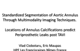 Standardized Segmentation of Aortic Annulus Across Multi-modalities Imaging Technics.   Location of  annulus calcification Predicts Periprosthetical Leaks post TAVI.