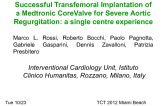 Successful Transfemoral Implantation of a Medtronic CoreValve in Patients with Severe Aortic Regurgitation: a Single Centre Experience