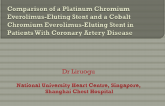 Real-World Comparison of Clinical Outcomes of Patients who Received New Generation Platinum Chromium Everolimus-Eluting Stent versus Cobalt Chromium Everolimus-Eluting Stent