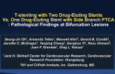 T-stenting with Two Drug-Eluting Stents Versus One Drug-Eluting Stent with Side Branch PTCA: Long-Term Pathological Findings in Bifurcation Lesions
