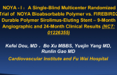 NOYA I: A Prospective Randomized Trial of the Biodegradable Polymer NOYA Sirolimus-Eluting Stent Compared with the Durable Polymer FIREBIRD 2 Sirolimus-Eluting Stent in Patients...