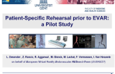 Patient-Specific Rehearsal Prior To Endovascular Aneurysm Repair: A Pilot Study