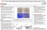 Enhanced Endothelial Tubule Formation in Response to Proly-Hydroxylase Inhibitor FG-2216: A Step Towards Therapeutic Angiogenesis in Chronic Total Occlusions