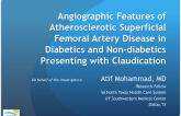 Angiographic Features of Atherosclerotic Superficial Femoral Artery Disease in Diabetics and Non-diabetics Presenting with Claudication