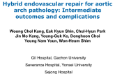 Hybrid endovascular repair for aortic arch pathology: intermediate outcomes and complications