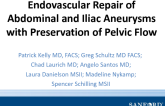 Endovascular Repair of Abdominal and Iliac Aneurysm Repair with Preservation of Pelvic Flow