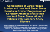 Combination of Large Plaque Burden and Low Wall Shear Stress Results in Greater Progression of Coronary Atherosclerosis than Low Wall Shear Stress Alone in Patients with Coronar...