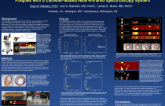 Detection of Thin and Thick Fibrous Caps Overlying Lipid Core Coronary Plaques with a Catheter-Based Near-Infrared Spectroscopy System