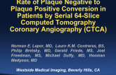 Rate of Plaque Negative to Plaque Positive Conversion in Patients by Serial 64-Slice Computed Tomography Coronary Angiography (CTCA)