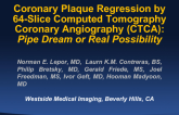Coronary Plaque Regression by 64-Slice Computed Tomography Coronary Angiography (CTCA): Pipe Dream or Real Possibility