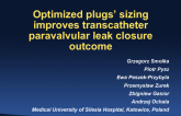 Optimizing plugs size for transcatheter paravalvular leak closure with Amplatzer Vascular Plug III devices.