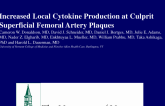 Increased Local Cytokine Production at Culprit Superficial Femoral Artery Plaques