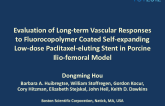 Evaluation of Long-term Vascular Responses to Fluorocopolymer coated Self-Expanding low-dose Paclitaxel-eluting Stent in Porcine Ilio-femoral Model