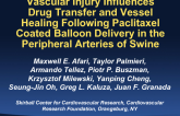 Vascular Injury Influences Drug Transfer and Vessel Healing Following Paclitaxel Coated Balloon Delivery in the Peripheral Arteries of Swine
