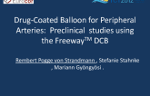 Drug-Coated Balloon for Peripheral Arteries: Results from preclinical experiments using the Freeway DCB