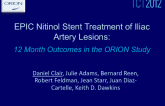 EPIC Nitinol Stent Treatment of Iliac Artery Lesions: 12-Month Outcomes in the ORION Study