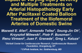 Impact of Varying Injury Severity and Multiple Treatments on Arterial Histopathology Early After Paclitaxel Coated Balloon Treatment of the Iliofemoral Arteries of Domestic Swine