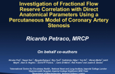 Investigation of Fractional Flow Reserve Correlation with Direct Anatomical Parameters Using a Percutaneous Model of Coronary Artery Stenosis