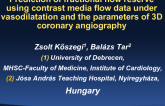Prediction of fractional flow reserve using contrast media flow data under vasodilatation and the parameters of 3D coronary angiography