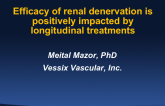 Efficacy of renal denervation is positively impacted by longitudinal treatments