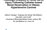 Histologic analysis of renal nerve injury following catheter-based renal denervation in obese, hypertensive canines