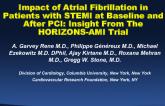 Impact of Atrial Fibrillation in Patients with STEMI Before and After Primary PCI: Insights from the HORIZONS-AMI Trial