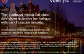 The Reperfused Myocardial Infarct Core Shows Extensive Hemorrhage With Loss of Vascular Integrity. A Comparison of Findings From Cardiovascular Magnetic Resonance Imaging With...