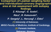 Comparison of Leaman weighing factor and individualized coronary angiographic area at risk assessment with autopsy findings