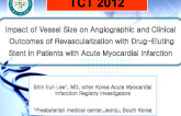 Impact of Vessel Size on Angiographic and Clinical Outcomes of Revascularization with Drug-Eluting Stent in Patients with Acute Myocardial Infarction