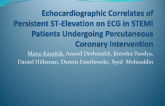 Echocardiographic Correlates of Persistent ST-elevation on ECG in STEMI Patients Undergoing Percutaneous Coronary Intervention