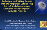 Early Safety of the Amplatzer Cardiac Plug™ for Left Atrial Appendage Occlusion