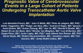 Timing, Predictive Factors and Prognostic Value of Cerebrovascular Events in a Large Cohort of Patients Undergoing Transcatheter Aortic Valve Implantation