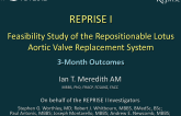 Feasibility Study of the Repositionable Lotus Aortic Valve Replacement System:  3-Month Outcomes in 11 Patients at High Surgical Risk (REPRISE I)